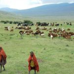 Kwa nini kigugumizi Ngorongoro, Loliondo?