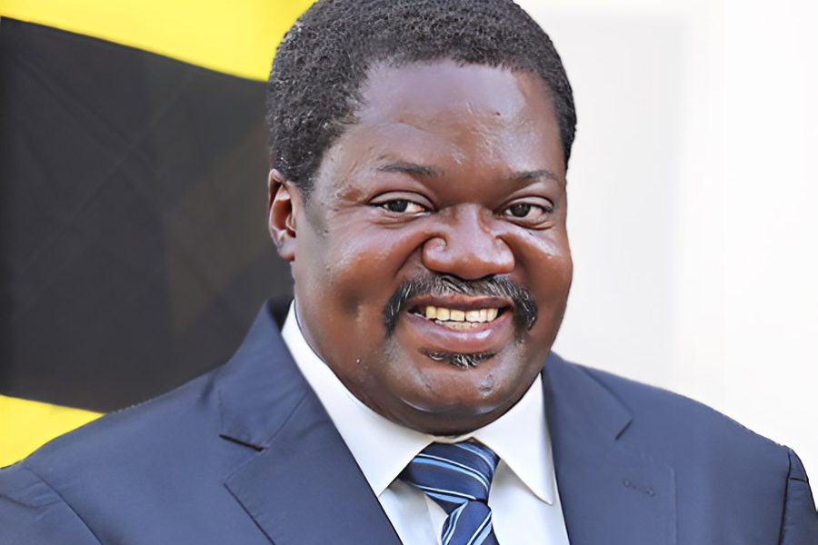 Dr-Emmanuel-Nchimbi