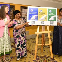 IMG-20251119-WA0415(1)