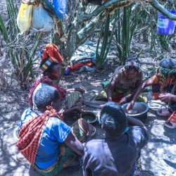 17652076824301461820222398699103