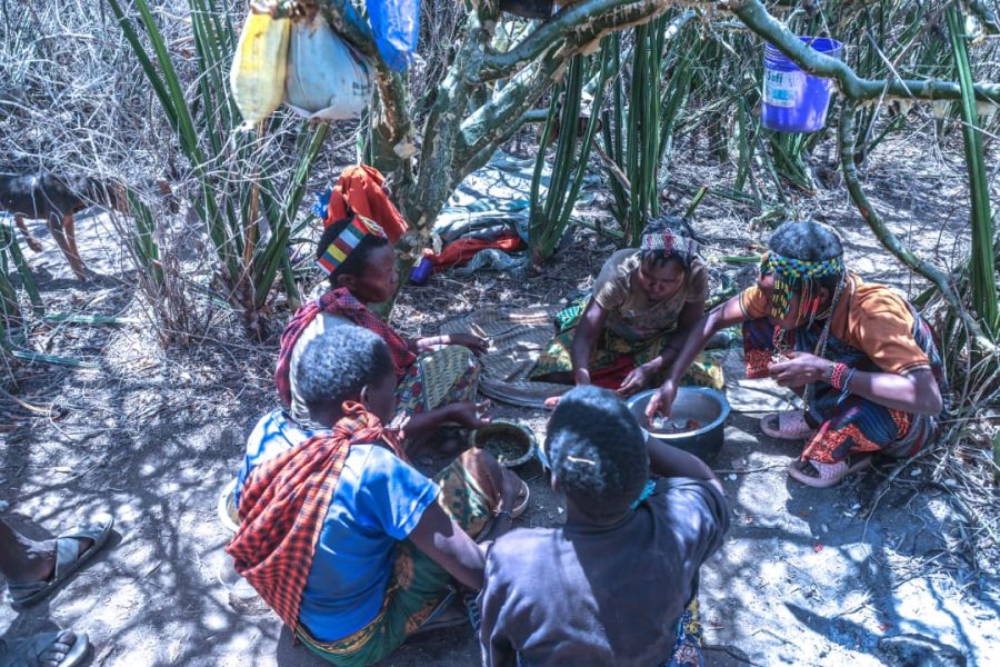 17652076824301461820222398699103