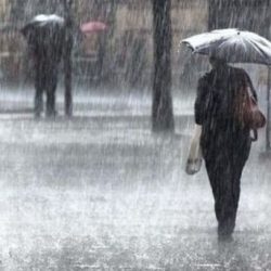 thumb_391_800x420_0_0_auto