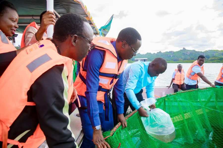 IMG-20260307-WA0012-2