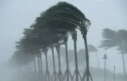 OIP