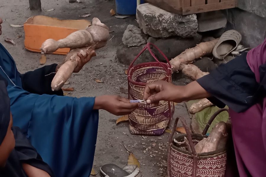 Amina hulima na kuuza mihogo ili kumudu gharama za maisha (picha na Veronica Mrema)