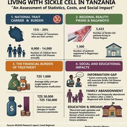 INFOGRAPHIC ENGLISH VERSION