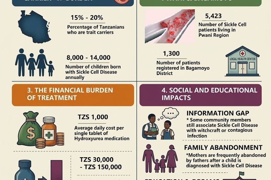 INFOGRAPHIC ENGLISH VERSION